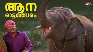 pattabhishekam jayaram harisree ashokan