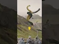 Anaconda snake video #viral