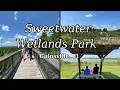 Sweetwater Wetlands Park Florida Everything You MUST Know Before You Go