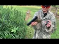 Airsoft battle gone wild