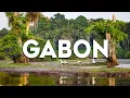 Download Lagu Top 10 beste dingen om te doen in Gabon [Reisgids Gabon 2024]