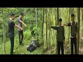 Download Lagu Ms. Dung was held by criminals. Will police officer Thuan arrive in time to rescue his wife?