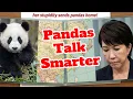 Japan Loses Its Pandas! What China’s Soft Power Means