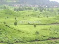 Lagu Sunda Doel Sumbang Pok Torolong