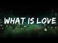 Download Lagu 1 Hour |  Haddaway - What Is Love (Lyrics)  | Charity Assey Lyrics