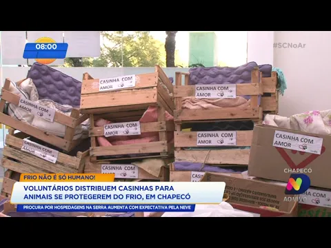 Voluntários distribuem casinhas para animais se protegerem do frio, em Chapecó