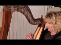Muzikkon McHugh Harp 38 String In Rosewood Round Back Played By Ann Tuitte