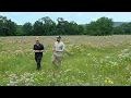 Wildflower Mitigation Blowout Mountain