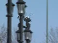 Police helicopter circles Polaris Fashion Place after report of shots fired