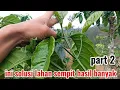 Download Lagu review lahan sempit bisa menghasilkan buah kopi banyak part2