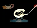 The Limbic System