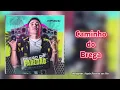 Download Lagu Caminho do Brega - Japãozin