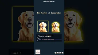 Box Shadow VS Drop Shadow in CSS Solve It Smart