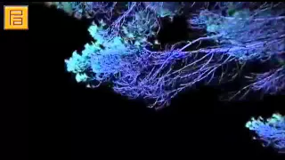 وادي الذئاب الجزء السادس الحلقة 21 مدبلجة للعربية 