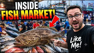 Fish Market Tour 2026 Amazing Fresh Fish Market Fishing Boat Compilation