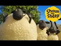 Download Lagu Shaun the Sheep 🐑 Magic Sheep - Cartoons for Kids 🐑 Full Episodes Compilation [1 hour]