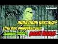 suara pancingan sirtu cipoh sirdung yang macet bunyi jamin 1000%