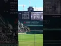 【ねぐせ／ずっと好きだから】甲子園のオーロラビジョンに現れた『熱闘甲子園テーマソング』2024①／第106回全国高等学校野球選手権大会