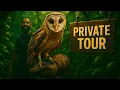 Lagu PRIVATE TOUR OF CRAZY ZOO IN JAKARTA INDONESIA 🇮🇩 