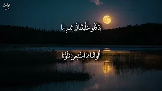 أسامة الواعظ الحب ما منع الكلام الألسنا المتنبي 