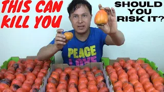It s True Persimmons Can Kill You Should You Risk Eating Them