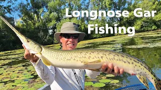 Sight fishing for longnose gar – ACR Fishing Adventures