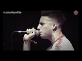 ANIMAL - WOS & ACRU (HD) 💣