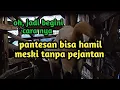 Download Lagu ternyata benar kambing betina bisa hamil meskipun tanpa pejantan