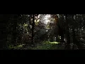Pantha du Prince - The Crown Territory (Official Video)