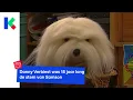 Download Lagu De bedenker van Samson is gestorven