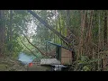 Lagu MEMBANGUN SELTER DI ATAS ALIRAN SUNGAI/ BUSHCRAFT SURVIVAL