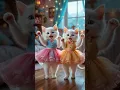 Download Lagu Tow Cute Cat's Dance 😹😻 || patli kamariya mor hai hai song || cat dance #catshorts #cute #ytshort