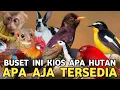 Lagu BUSET INI KIOS APA HUTAN || BURUNG AYAM MONYET TUPAI SAMPE BURUNG SETAN ADA DI PASAR BURUNG PRAMUKA
