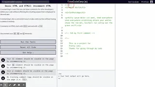 Learn Basic HTML and HTML5 Uncomment HTML freeCodeCamp org 06