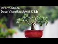 D3 js Intermediate Data Visualization Training Introduction - D3 js v3 Tutorial
