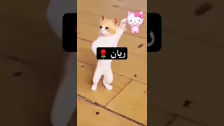 اسم ريان   دندنها