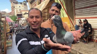 تعالو نشوف كل انواع الحمام في سوق دمياط انهارده بالأسعار 