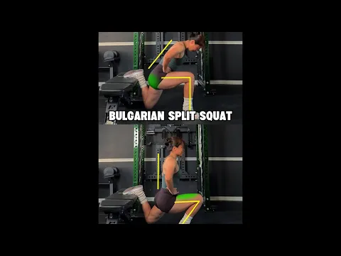 Bulgarian Split Squat - How to Target More Quads or More Glutes