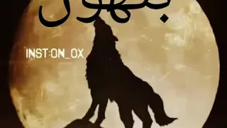 ما جت لي الدنيا على الكيف ياذيب 