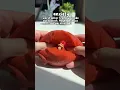 WORST SELLING SLIMES 2025