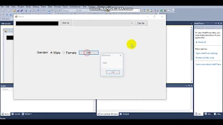 How to use Radio Button Windows Form Application Visual Basic