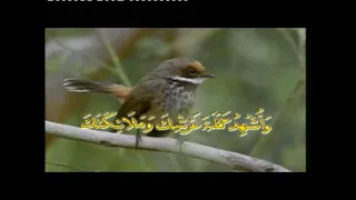 munif ahmad zikir u0026 doa pagi vcd music video 