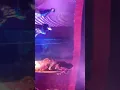 Hot Dance Swrang Moonju Theatre//Item Music Boys