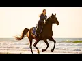 Download Lagu 【Country Music】The Road of Fate