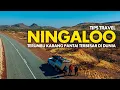 Download Lagu Tips Travel Ningaloo - Terumbu Karang Pantai Terbesar Di Dunia | Ningaloo Ep1