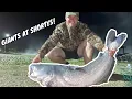 YOUTUBE COLLAB AT SHORTY S PAYLAKE Anglin A s WalkTalkFish and The Pig Dusters