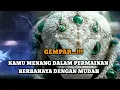 Lagu JIWA TERPILIH _ KAMU MENANG DALAM PERMAINAN BERBAHAYA DENGAN MUDAH 