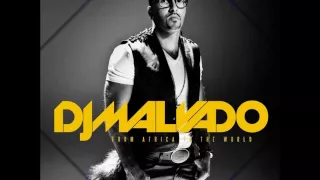 dj malvado ft dr malinga u0026 jacob desvarieux from africa to the world