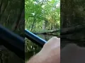 GATOR ATTACKS MAN ON KAYAK