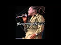 Richie Spice - Grooving My Girl (Lyric)